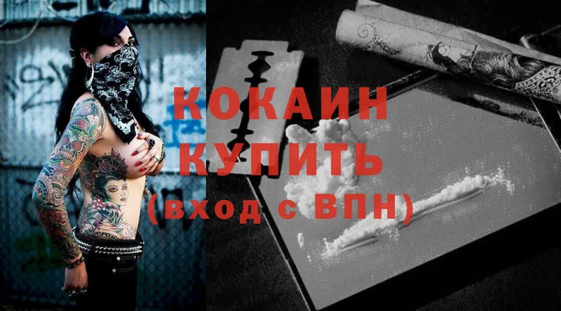 Cocaine Fish Scale  купить наркоту  Вязники 